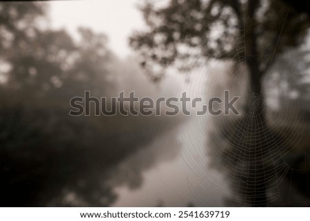 Similar – Image, Stock Photo the beginning of the end | in the forest on old tracks