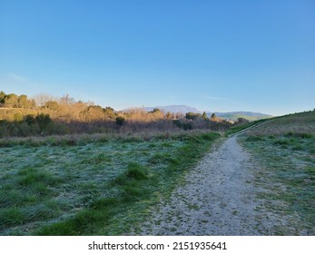 Morning Frost On Diablo Vista Trail In San Ramon Valley, California