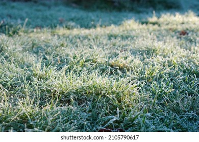 Morning Frost in the UK Low to Ground (British winter morning with sun shining on frost on the grass)                               