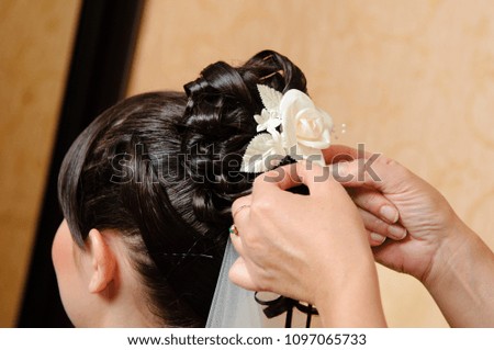 Similar – Wedding hairstyle for bride to wedding day