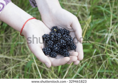 Similar – Ripe blackberries in hand