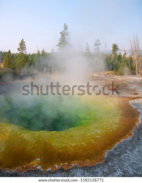 Morning glory pool hot spring, Deep Thermal\
multi colored pool turquoise water, steam rising from water, forest\
in background, Yellowstone national\
park