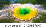 Morning Glory Pool - Yellowstone National Park	