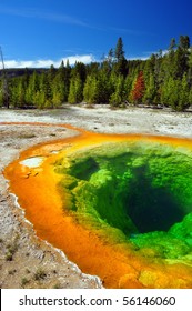 Morning Glory Pool, Yellowstone National Park