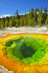 Morning Glory Thermal Pool. Yellowstone National Park, Wyoming