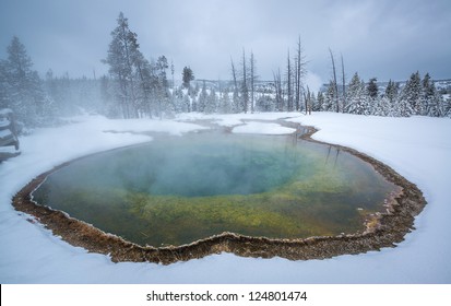 Morning Glory Thermal Pool, Yellowstone
