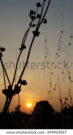 Similar – Image, Stock Photo in the evening…