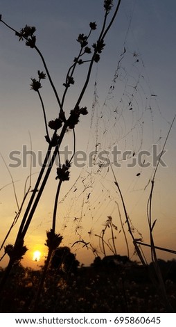 Image, Stock Photo in the evening…