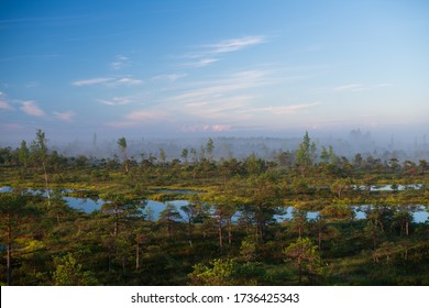 Morning in Great Kemeri bog. Bog in the foggy morning. Small ponds in bog. Reflections in the lake, bog in the morning. Misty evening, Latvian nature. Swamp background. Misty swamp. - Powered by Shutterstock