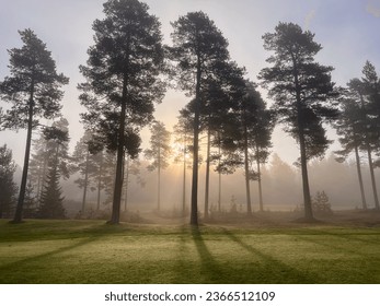 Morning haze on a golf course - Powered by Shutterstock