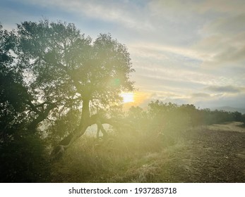 朝のイメージ の画像 写真素材 ベクター画像 Shutterstock