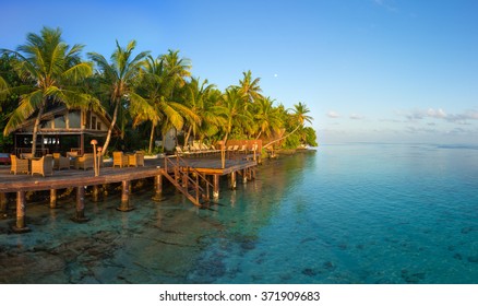 Morning Hotel Maldives Palm Trees Clear Stock Photo 371909683 ...