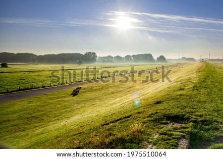 Morning Hours at the Elbe River Dike near Hamburg