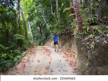 15,329 Running jungle Images, Stock Photos & Vectors | Shutterstock