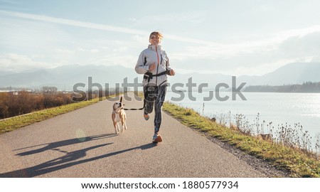Morning jogging with a pet: a female running together with her beagle dog by the asphalt way along lake with a foggy mountain landscape. Canicross exercises and active people and a dog concept image. Stock photo © 