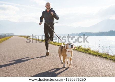 Morning jogging with a pet: a man running together with his beagle dog by the asphalt way with a foggy mountain landscape. Canicross exercises and active people and a dog concept image. Stock photo © 