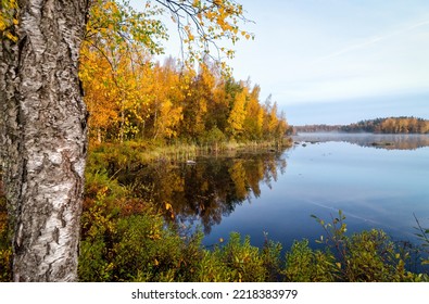 Morning Lake View In October