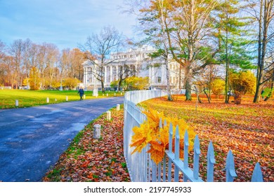 Morning landscape in autumn park. Orange red maple leaves on road. White house on background. Fall season nature scene beauty. Yellow tree alley in city garden Scenery path, sun street. Bunch in fence