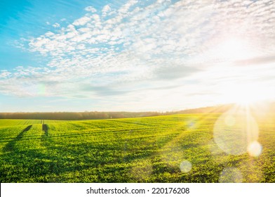 Morning Landscape With Green Field, Traces Of  Tractor In Sun Rays 