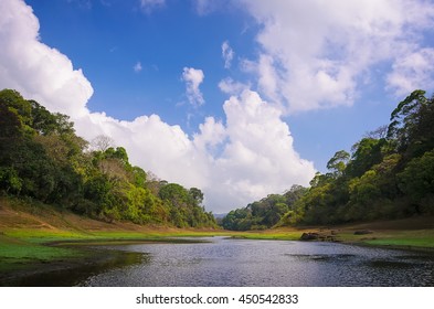 Morning landscape in National park Periyar Wildlife Sancturary, Kumily, Kerala, India