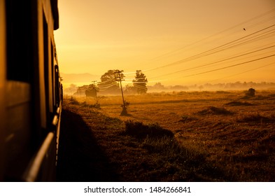 Morning landscape nature view side way from train windown