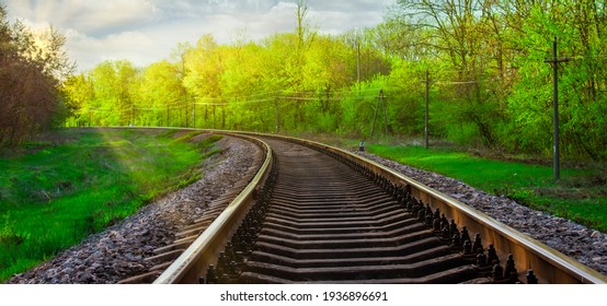 Morning landscape on the railway tracks. The sun's rays are the green grass and the rails on which the train travels. Trees along the railway.