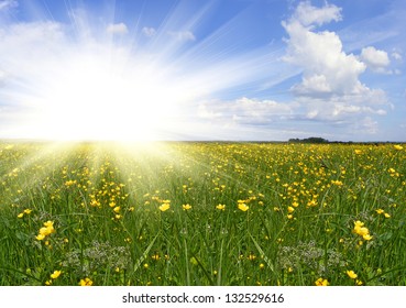 615,989 Morning sun plants Images, Stock Photos & Vectors | Shutterstock