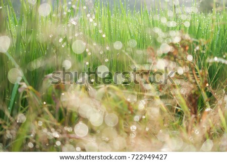 Similar – Image, Stock Photo lightning rain Nature