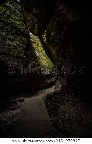 Morning Light Hits Mossy Wall On Bear Gulch Cave in Pinnacles National Park