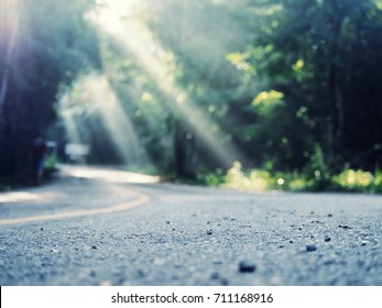 Morning Light In The Jungle Gives A Bright, Happy Feeling, Suitable For Jogging For Healthy Health. And Good Quality Of Life,Soft Focus And Blur Back Ground.