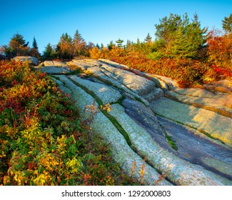 Morning Light On Cadillac Mountain In Acadia National Park Maine, With Fall Foliage On The Edge. 