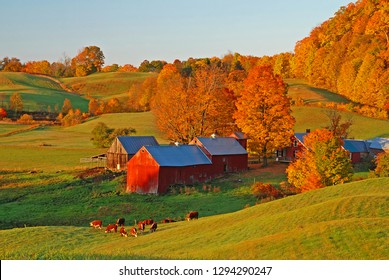 Morning Light On Jenne Farm