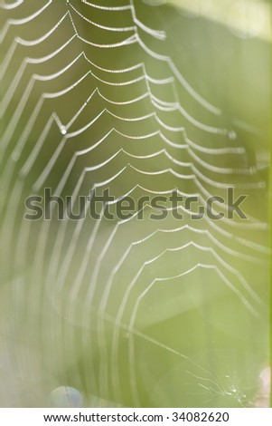 Similar – Foto Bild Blättchen III Natur