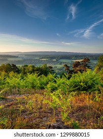 Morning light over the North Downs and Surrey Hills from St. Martha's Hill