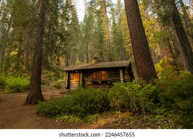 Morning Light Reaches The Cabin Doors In The Merced Grove Of Giant Sequoias in Yosemite - Shutterstock ID 2246457655