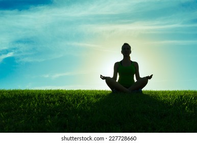 日本通販売  Green Meditation 画材