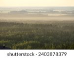 Morning mist in Finland. Forest landscape. Pine forest.