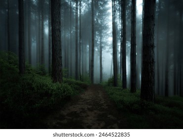 Morning Mist in the Forest Path - Powered by Shutterstock