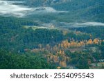 Morning mist in the Guadalquivir valley, in the Cazorla, Segura and Las Villas natural park.