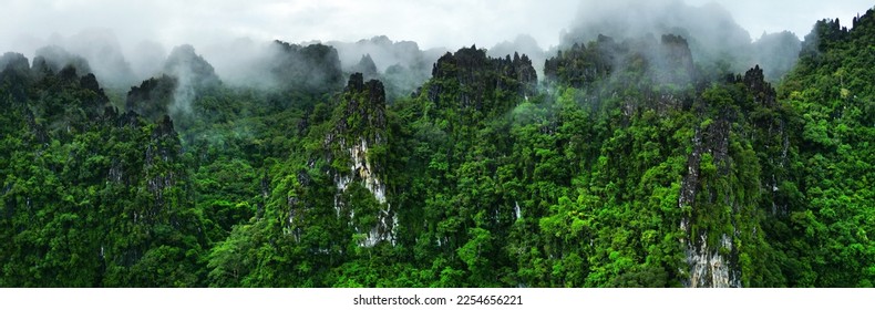 Morning mist on the canopy in the mountains of the rainforest  - Powered by Shutterstock