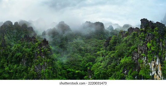 morning mist on the canopy in the rainforest ,near Vang-Vieng-Laos - Powered by Shutterstock