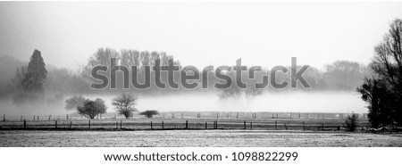 winter fog Nature