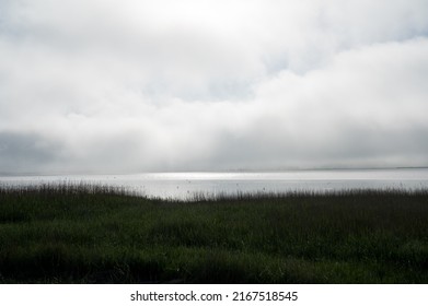 Morning Mist At Randers Fjord