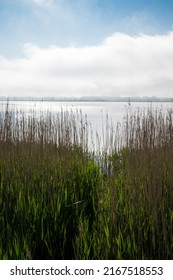 Morning Mist And Sunshine Over Randers Fjord