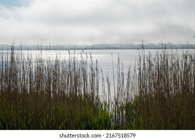 Morning Mist And Sunshine Over Randers Fjord