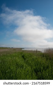 Morning Mist And Sunshine Over Randers Fjord