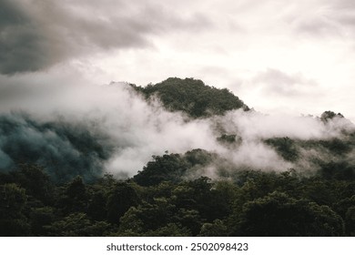 In the morning, the mountain landscape is veiled in a misty fog, with clouds drifting across the sky, while a solitary tree stands tall, embracing nature's serene beauty. - Powered by Shutterstock