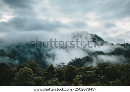 Similar – Image, Stock Photo veiled mountain landscape