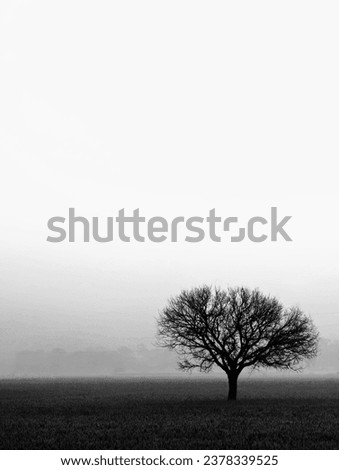 Similar – silent Colour photo