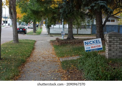 Morning On An Edmonton Street With Large Trees